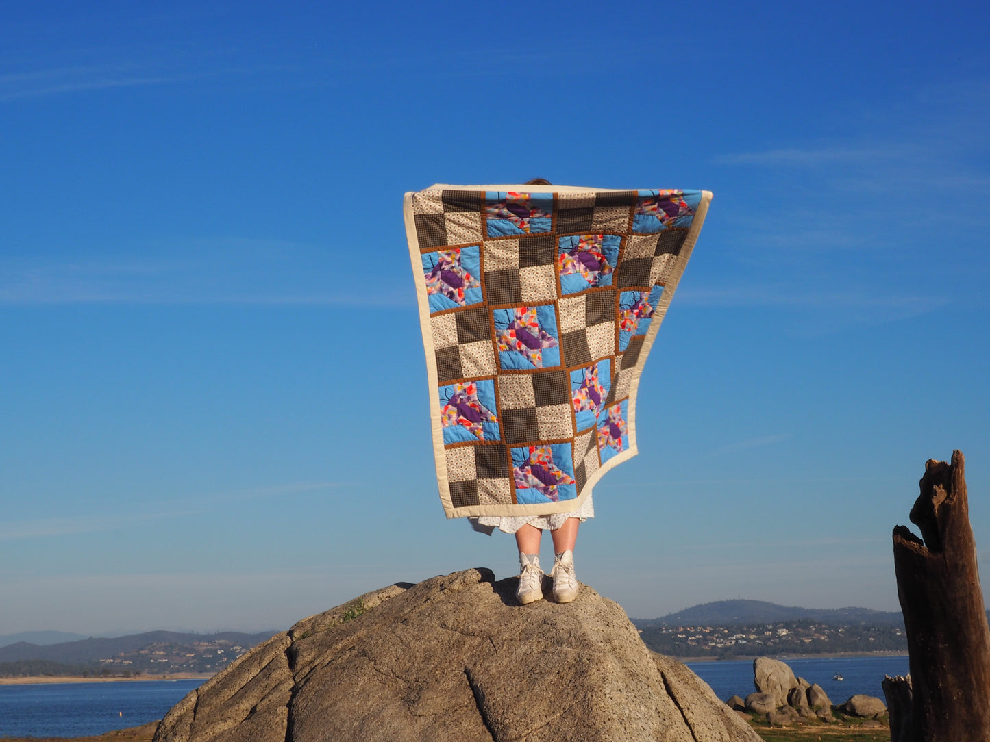 Butterfly Pattern Throw Quilt